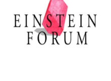 The Einstein Fellowship for Interdisciplinary Research 2023