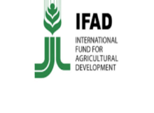 IFAD Agrihub Youth Agripreneurship Apprentice Program (YAAP)
