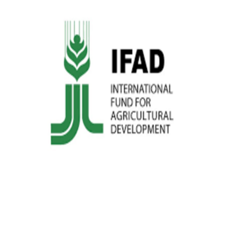 IFAD Agrihub Youth Agripreneurship Apprentice Program (YAAP) 