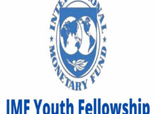 International Monetary Fund Youth Fellowship 2023