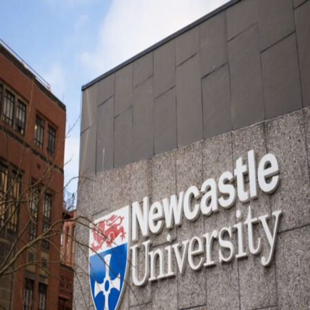 Africa Excellence Scholarship 2023 at University of Newcastle 