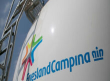 FrieslandCampina Graduate Professional Scheme 2023