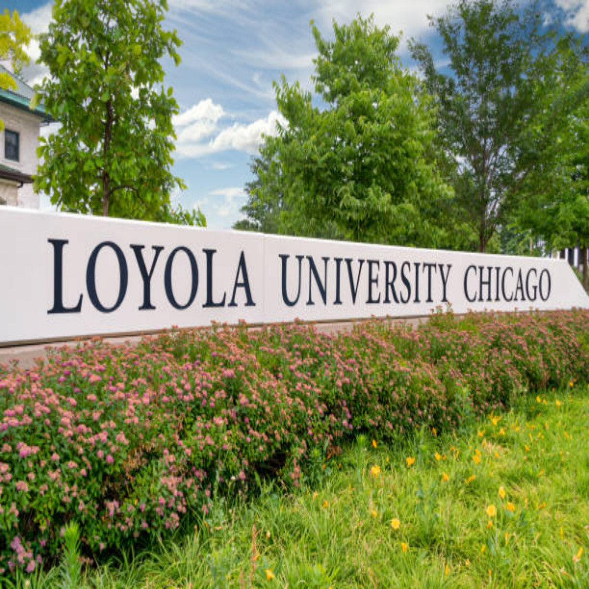 Rule of Law for Development Scholarship 2023 at LOYOLA University Chicago