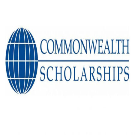 Commonwealth Professional Fellowships 2024