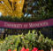 Global Excellence Scholarships 2023 at University of Minnesota