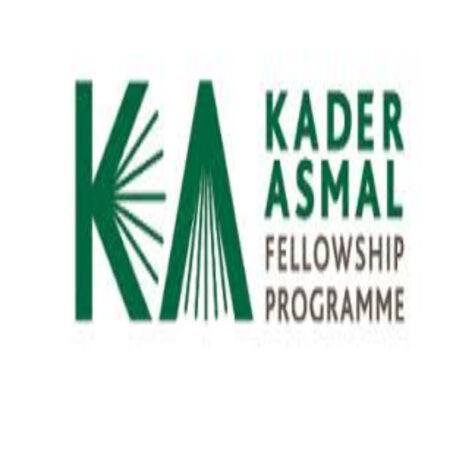 Kader Asmal Fellowship Program 2024