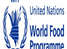 The United Nations World Food Programme (UN-WFP) Graduate Internship