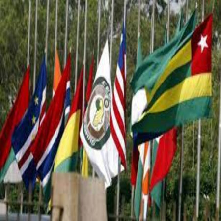 ECOWAS Immersion Program 2024