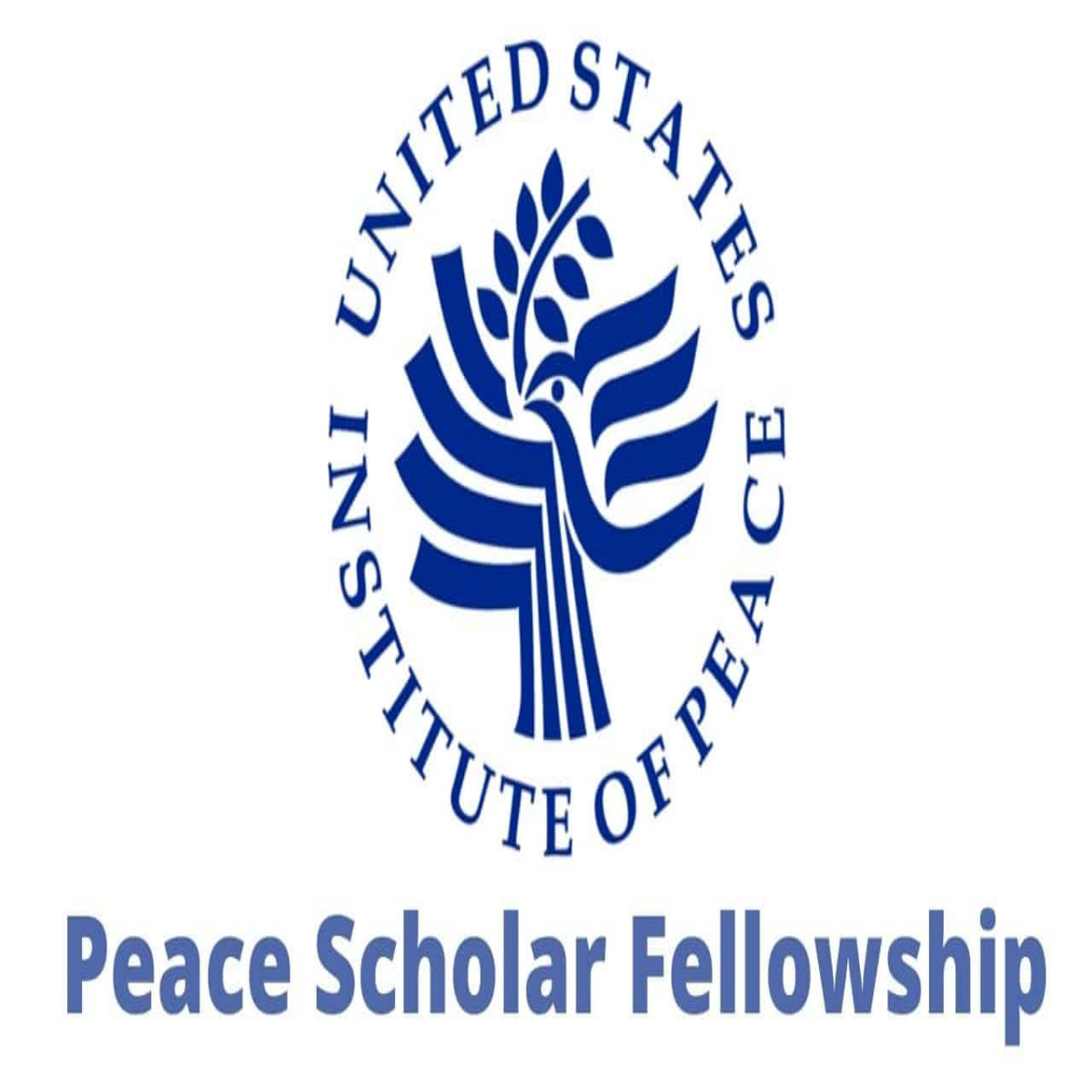 USIP Peace Scholar Fellowship Program 2024