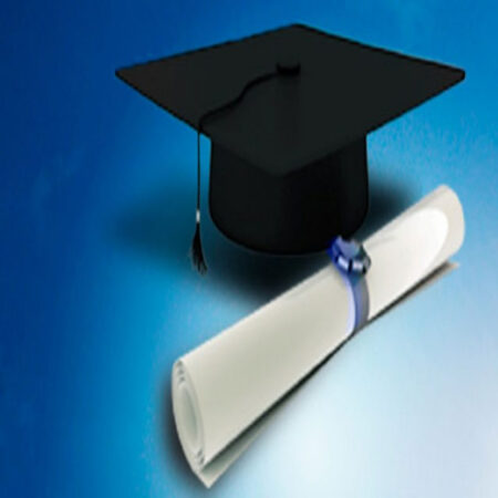 NIFESS Undergraduate Scholarship 2024