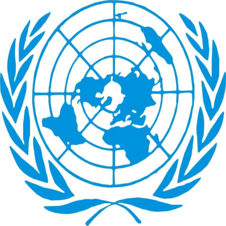 United Nations/Japan Long-Term Fellowship 2024