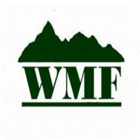 Wells Mountain Initiative (WMI) Scholars Program 2024