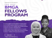 BMGA Fellowship Program 2024 For Young University Graduates And Final Year Students