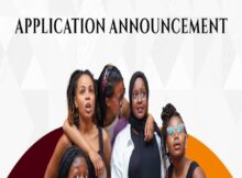 MILEAD Fellows Program 2024 for Young African Leaders