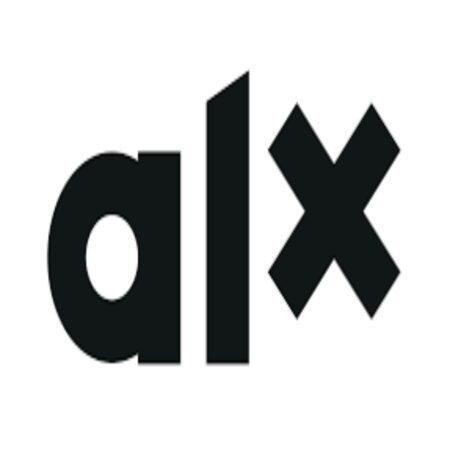 ALX Software Engineering Global Tech program 2024 for Young Graduates