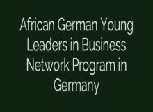 African German Young Leaders in Business Network Program 2024 in Germany