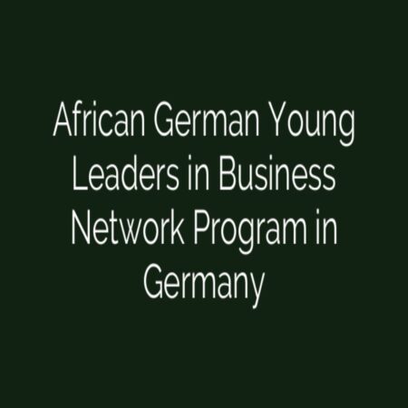 African German Young Leaders in Business Network Program 2024 in Germany