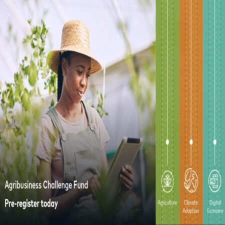 Mastercard Foundation Fund 2024 for Resilience and Prosperity Program