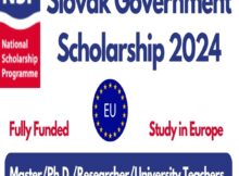 Slovak Government National Scholarship 2024
