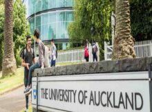 Business Masters Scholarship 2024 at University of Auckland