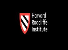 Fellowship for Professionals 2024 at Harvard Radcliffe Institute