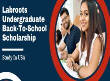Labroots Undergraduate Back-To-School Scholarship 2024