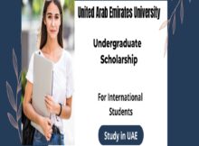 Undergraduate Scholarships 2024 at United Arab Emirates University