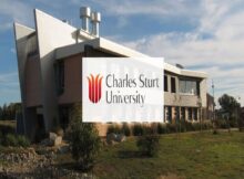 Yirigaa Cyber and Software Pathway 2024 Scholarship at Charles Sturt University