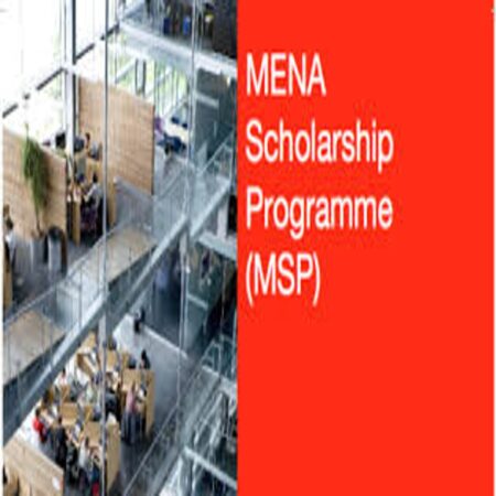 MENA Scholarship Programme 2025 in Holland