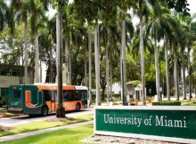 Stamps Scholarship 2024 at University of Miami