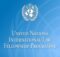 United Nations Fellowship 2025 in International Law for Developing Countries